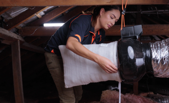 DVS Website Product Image (1080 x 1325 px) (1325 x 1080 px)